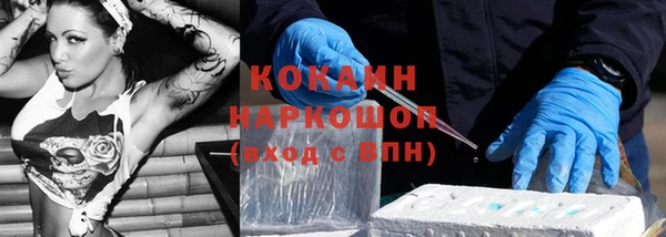прущие грибы Медвежьегорск
