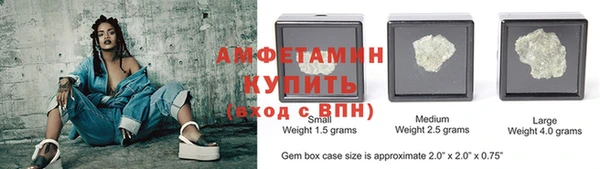 прущие грибы Медвежьегорск