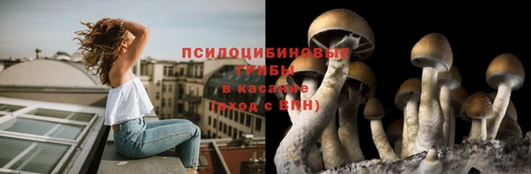 прущий лед Михайлов