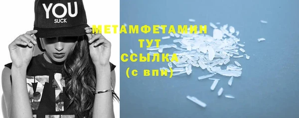 прущие грибы Медвежьегорск