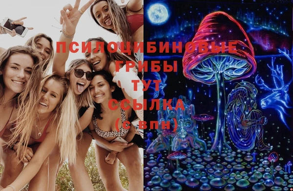 герыч Михайловск
