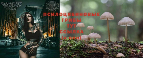 ешки Медногорск