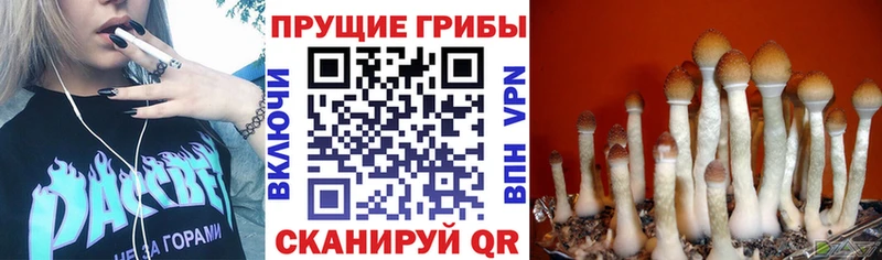 Галлюциногенные грибы мицелий  мега ССЫЛКА  Фурманов 